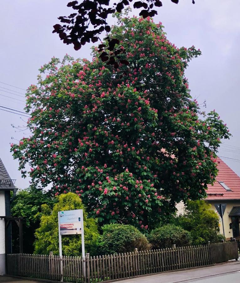 Gemuetliche Fewo Naehe Hachenburg, Bad Marienberg Apartment Langenbach bei Kirburg Bagian luar foto